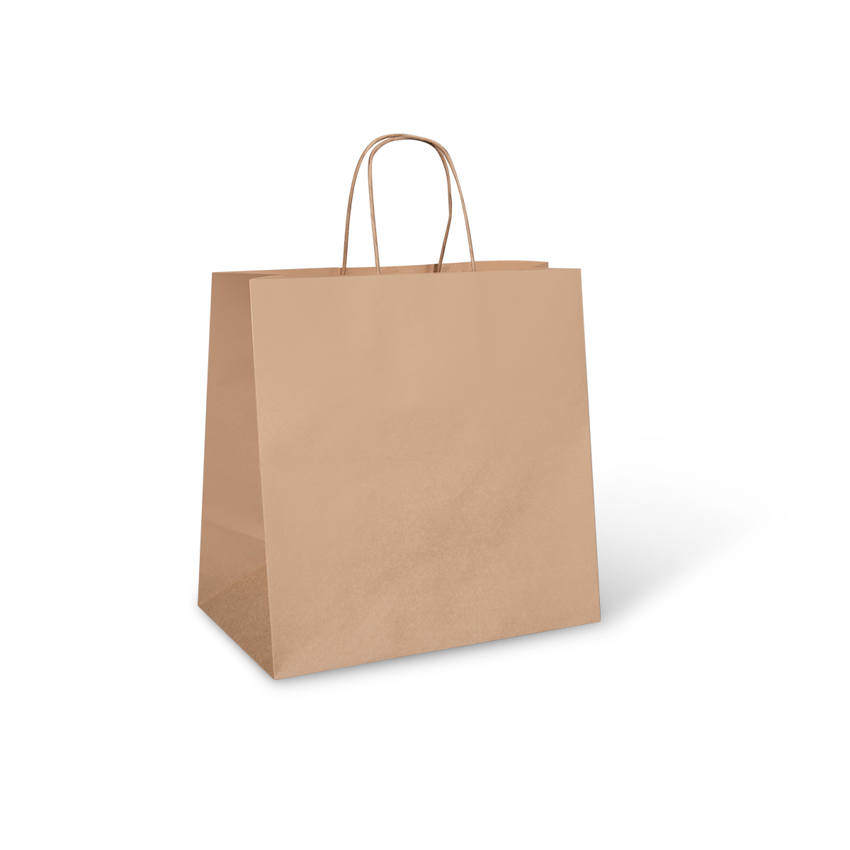 Detpak Brown Large Twist Handle Bag (250)