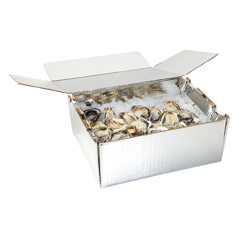 Oyster 4T, Chilltainer, 410mm x 335mm x 170mm