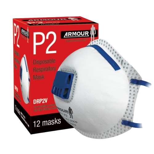 Disposable Respirator Valve Mask - P2 (12)