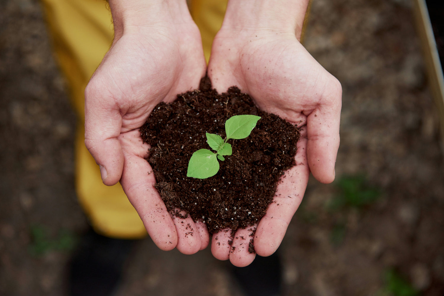 Sustainable Food Packaging in Nelson: Compostable, Recyclable & Renewable Options