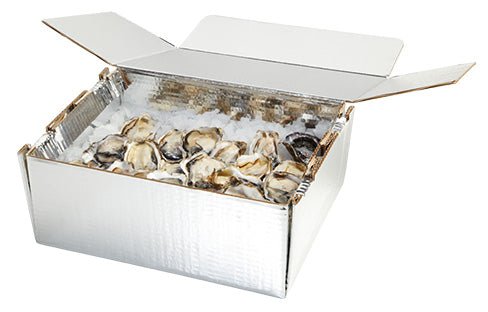 How to Keep Perishables Cold in Transit: Choosing the Right Chilltainer - NZ Packaging