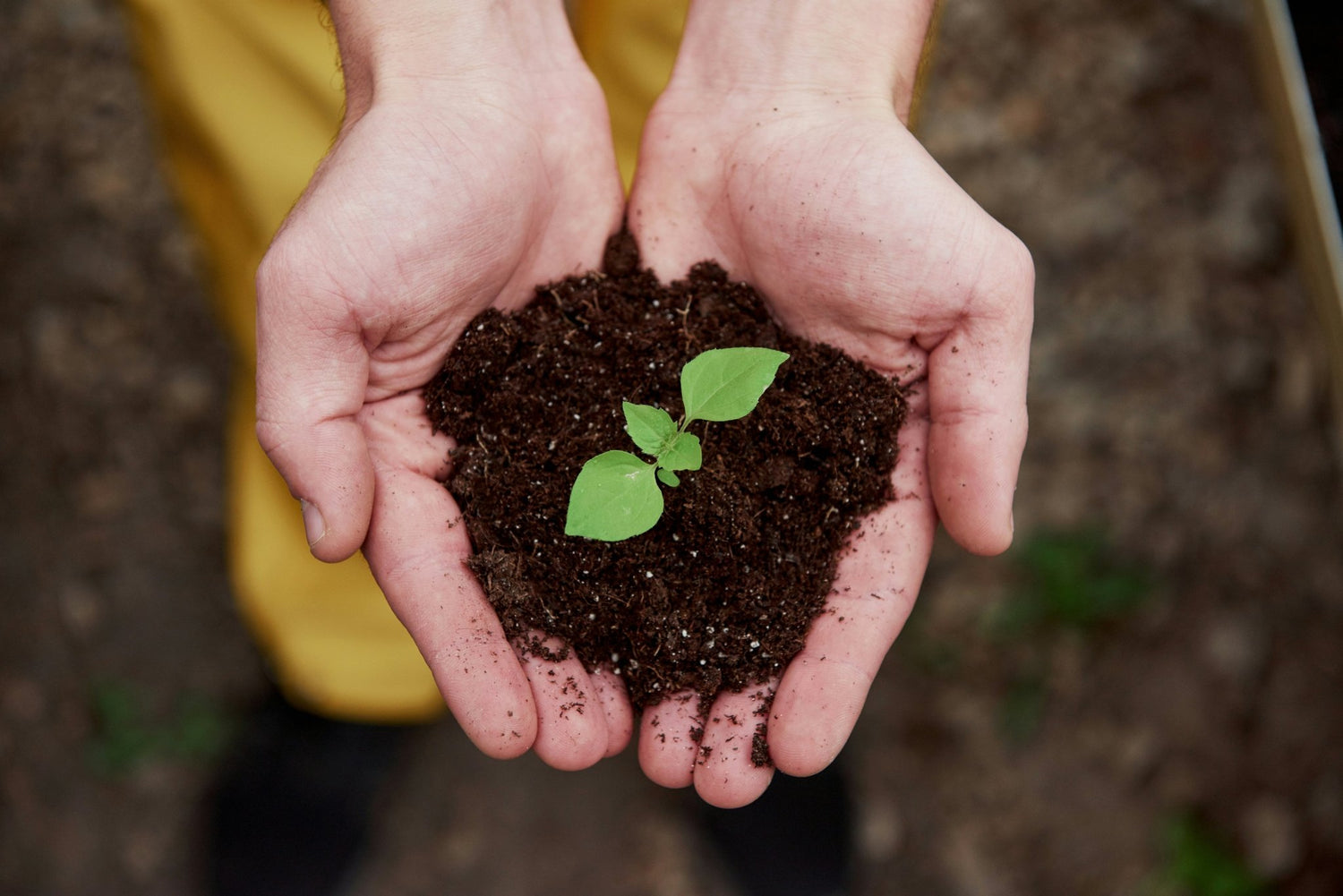 Sustainable Food Packaging in Nelson: Compostable, Recyclable & Renewable Options - NZ Packaging