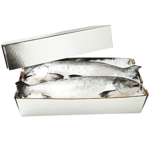 Large Lobster, Chilltainer , 545mm x 370mm x 220mm , Lid Only