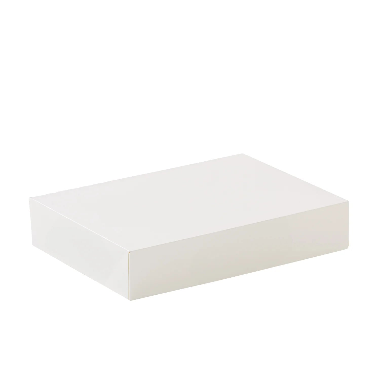 12 Pack Windowless Donut Carton - NZ Packaging