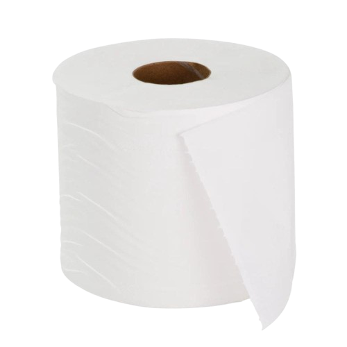 Toilet Paper Roll 2 Ply Coastal Select (400 S/Roll, 48 CTN)