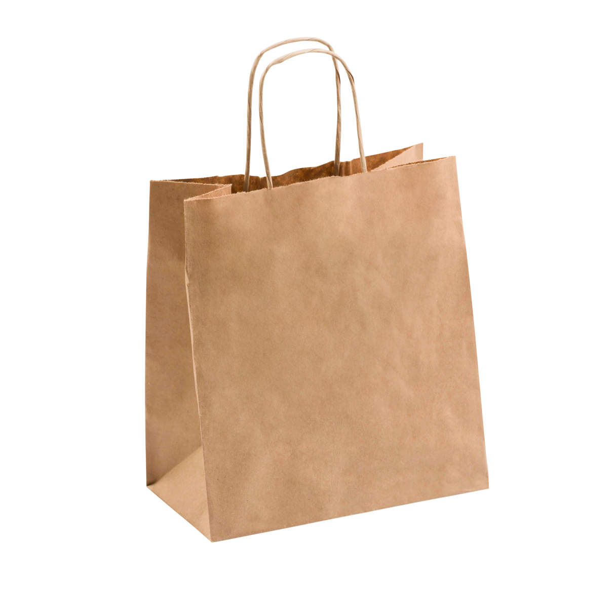 Small Delivery Recycled Paper Twist Handle Bag 245 x 220 x 120