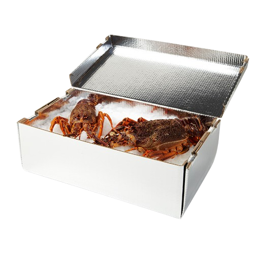 HD - Lobster, Chilltainer, 550mm x 318mm x 181mm