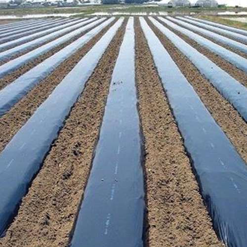 900-30 Black Mulch Film SWS 500M