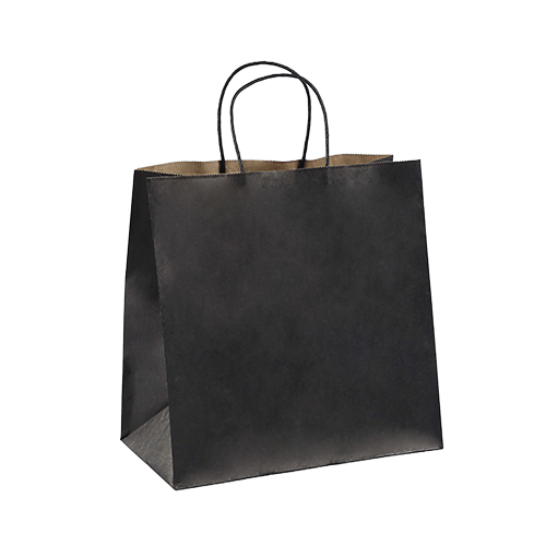 Paper Twist Carry Bag, Small, Black (500)