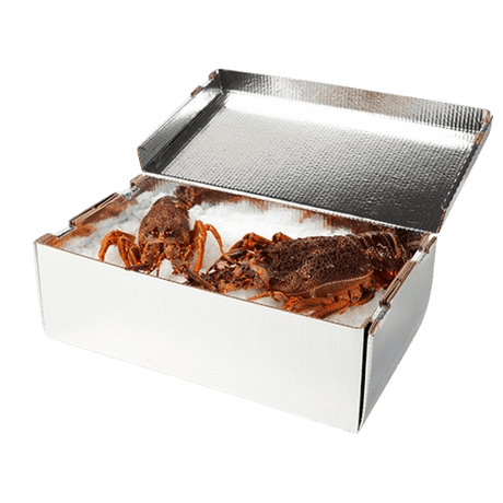HD - Lobster, Chilltainer, 550mm x 318mm x 181mm - NZ Packaging