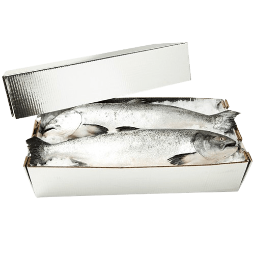 Large Lobster, Chilltainer, 545mm x 370mm x 220mm, Base Only - NZ Packaging