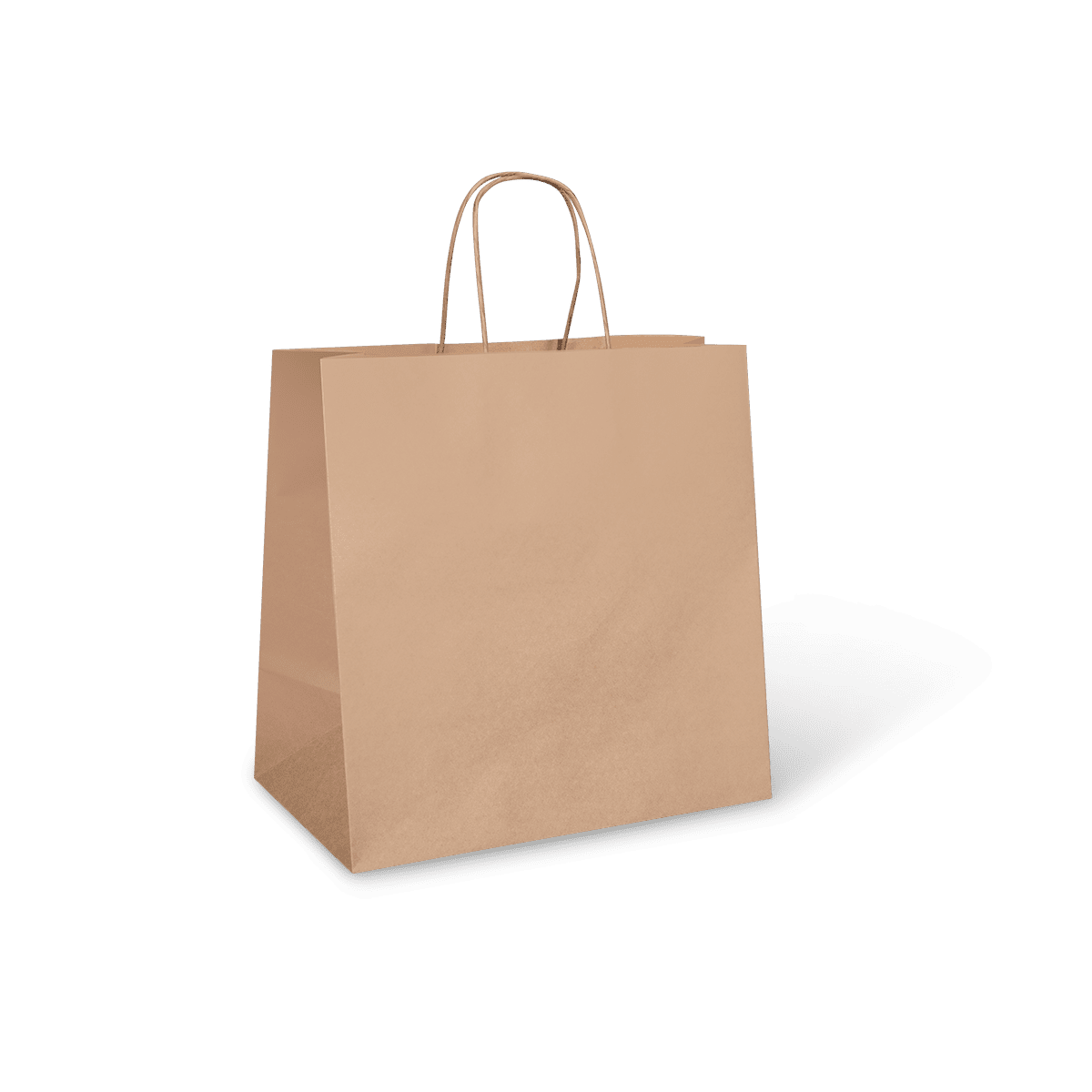 Large Twist Handle Bag - NZ Packaging