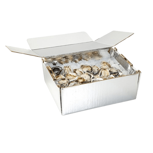 Oyster 2T, Chilltainer, 410mm x 335mm x 125mm - NZ Packaging