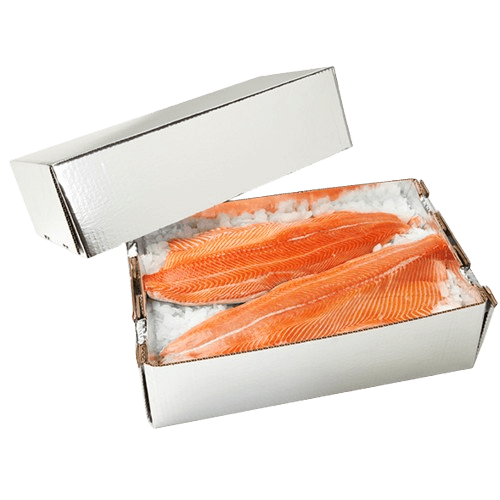 Salmon, Chilltainer, 680mm x 335mm x 160mm, Base Only - NZ Packaging