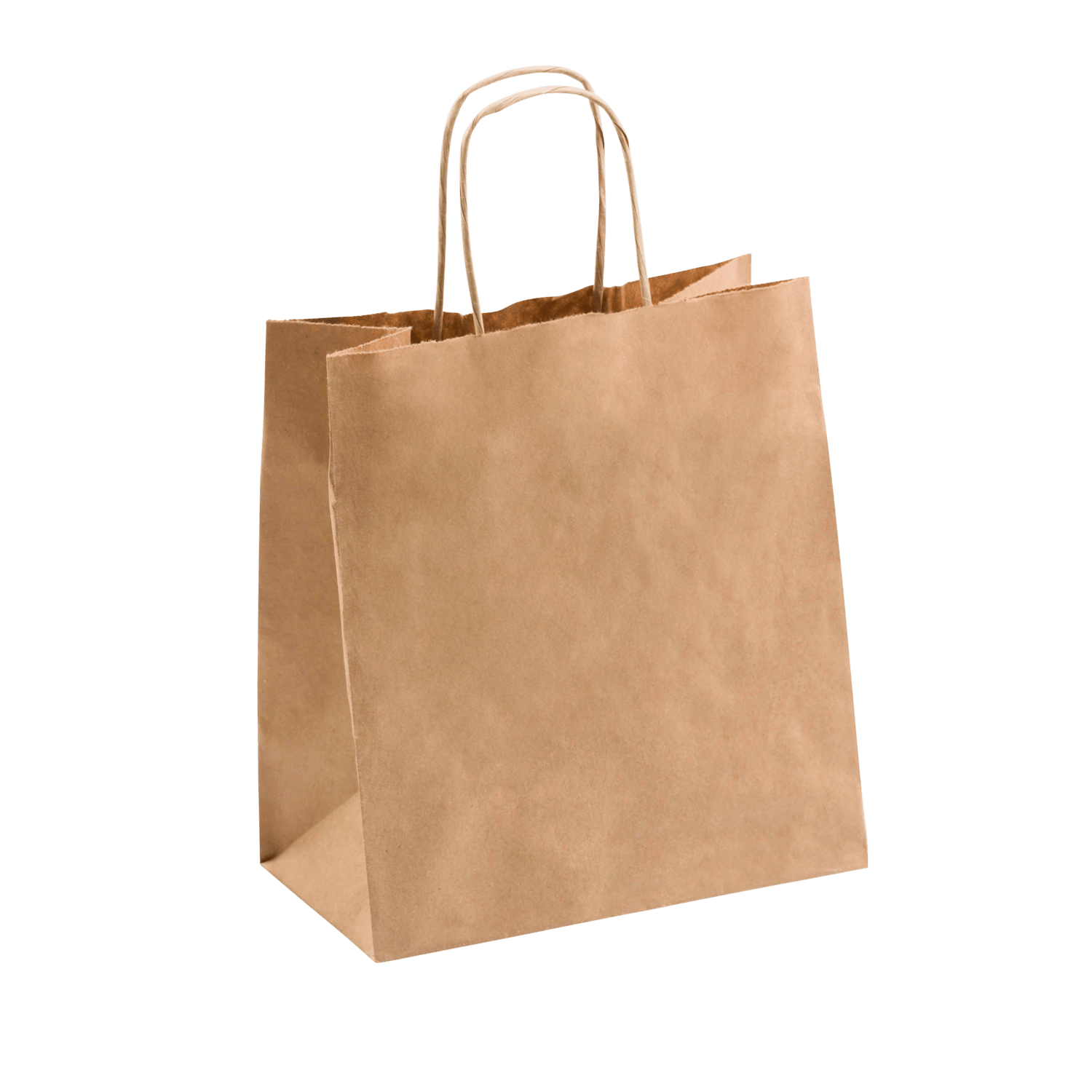 Small Delivery Recycled Paper Twist Handle Bag - NZ Packaging