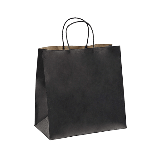 Small Paper Twist Handle Bag - NZ Packaging