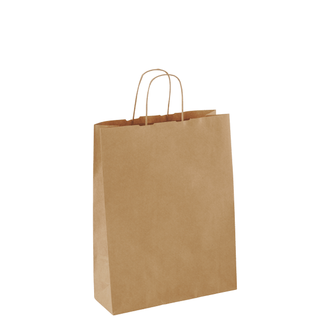 Small Recycled Paper Twist Handle Bag - NZ Packaging