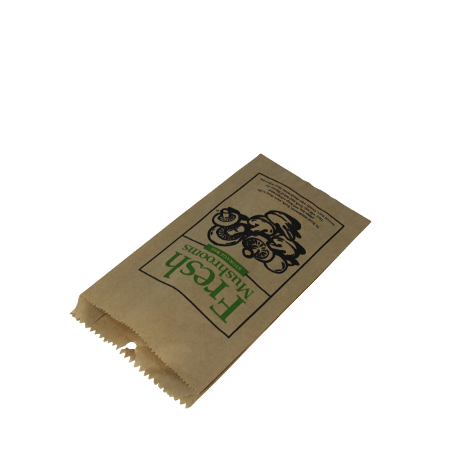 Strung Mushroom Satchel Bag - NZ Packaging