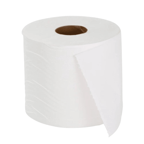 Toilet Paper Roll 2 Ply Coastal Select (400 S/Roll, 48 CTN) - NZ Packaging