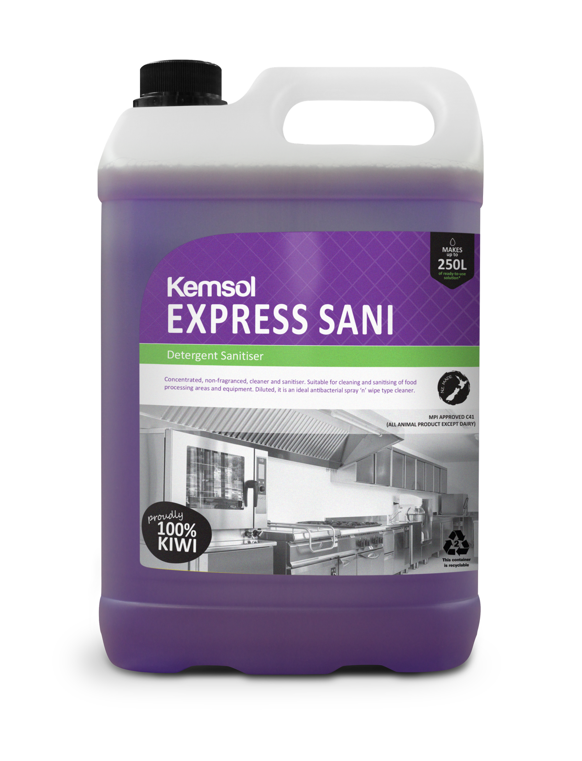 Kemsol Express Sani Detergent Sanitiser